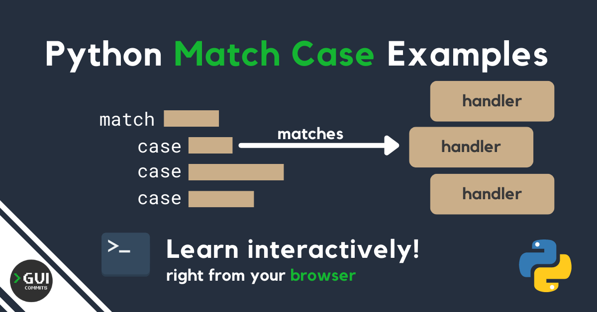 Blog Post Python Match Case 